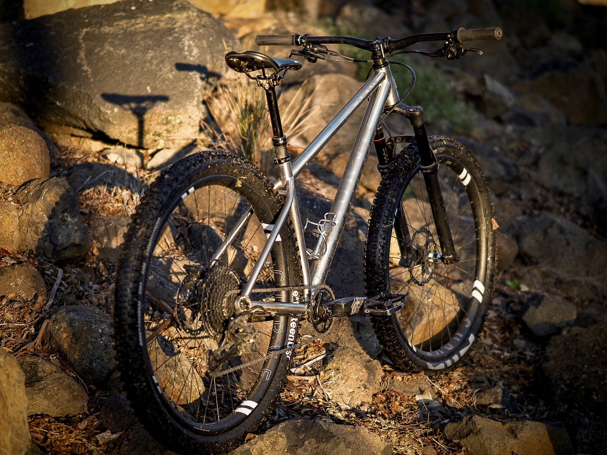 Titanium hardtail best sale